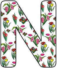 Tulpen-Buchstabe-N.jpg